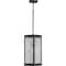 Progress Lighting Felton Collection Black One-Light Hanging Lantern P550047-031 - alternate 2